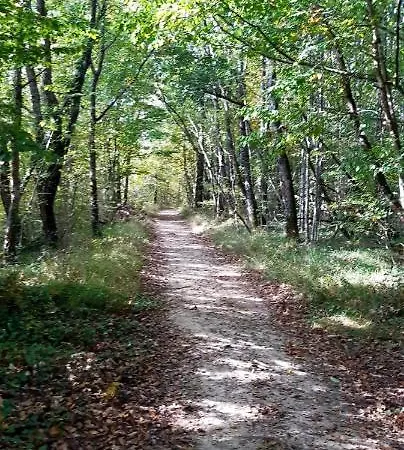 Bon Camino * Moissac