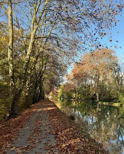 Bon Camino Guest house *