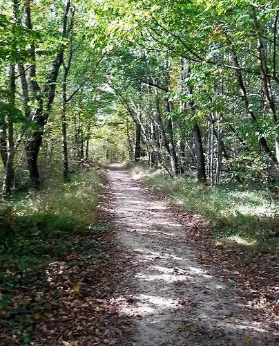 Bon Camino * Moissac